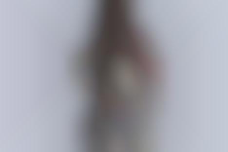 Tattooed Temptress Shoots