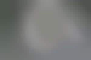 Load-Bearing Loo Lids : Adjustable Advantage