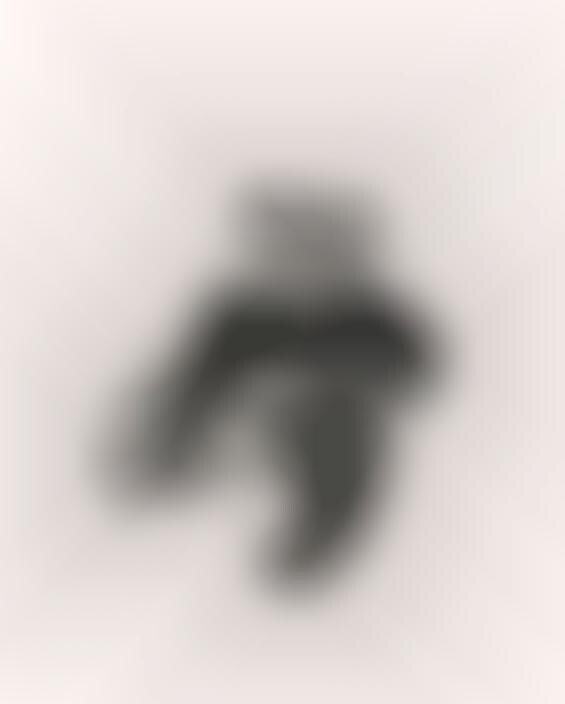 Hybrid Animal Illustrations
