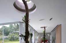 Tree-Pillared Homes