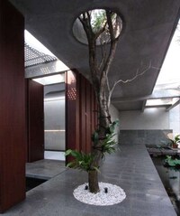 Tree-Pillared Homes Image 4