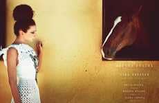 Elegant Equine Editorials