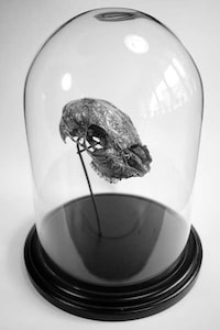 Intricate Floral Skullcaps Image 3