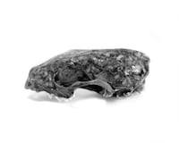 Intricate Floral Skullcaps Image 5