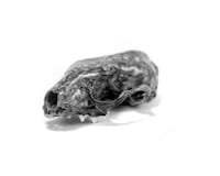 Intricate Floral Skullcaps Image 6