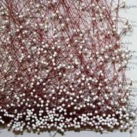 Perfectly Placed Pin Art