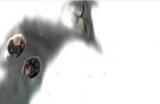 Photocopied Feline Photoblogs