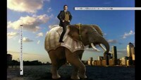 Clever Cosmetic Ads Image 5