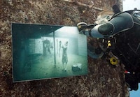 Underwater Exhibitions Image 2