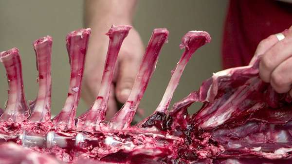 Online Culinary Classes