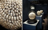 Marvellous Mouse Skull Art Image 2