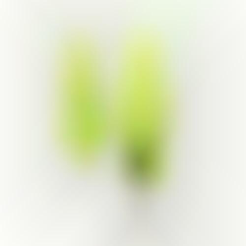 Fluorescent Nook Hangers