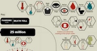 Lethal Illness Infographics Image 2