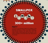 Lethal Illness Infographics Image 4