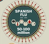 Lethal Illness Infographics Image 6