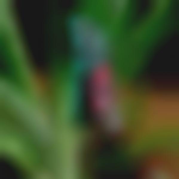 Plant Status Alerters