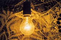 Crocheted Spider Webs Image 3