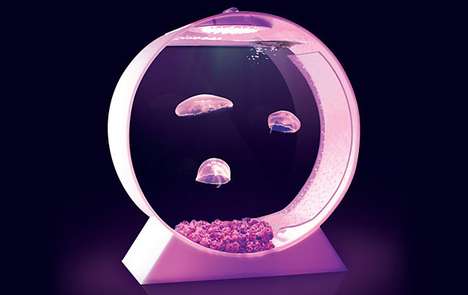 Hypnotic Aquariums