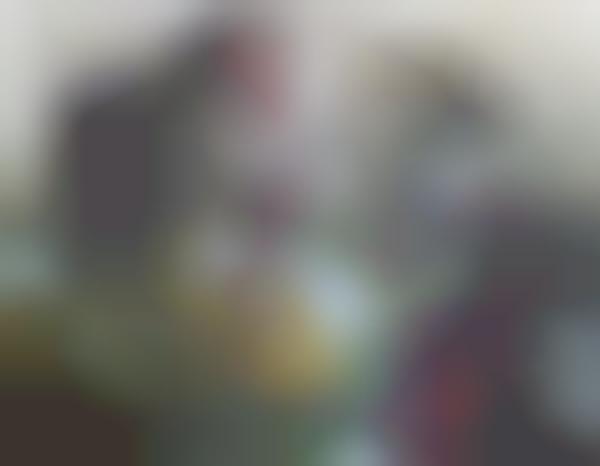 Pixelated Wildlife Pictures (UPDATE)