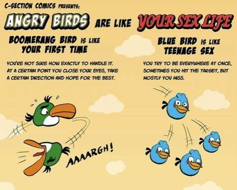Bedroom Bird Game Graphics