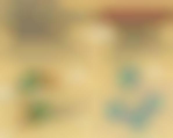 Bedroom Bird Game Graphics