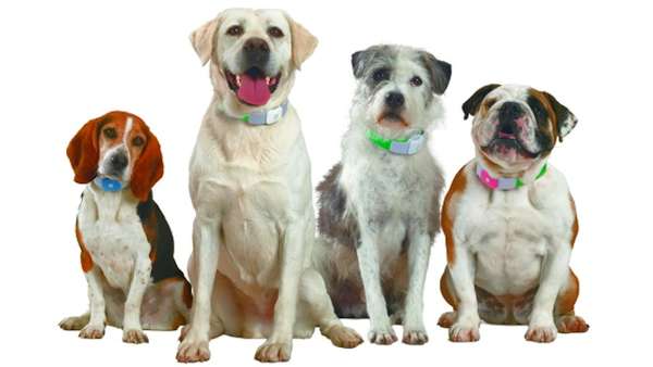 Critter GPS Systems