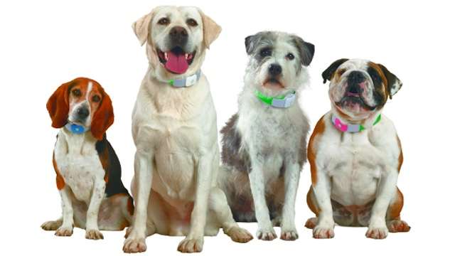 Critter GPS Systems