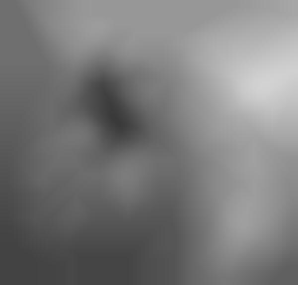 Puffed Coif Portraits
