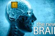 Virtual Brains