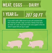 Self-Sustainability Guides Image 4