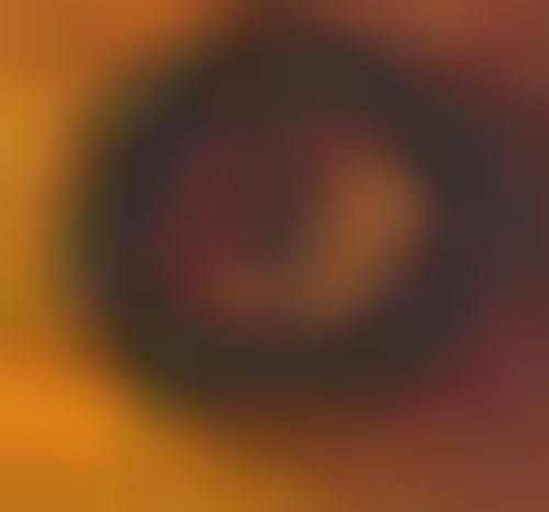 cheap snake accessories