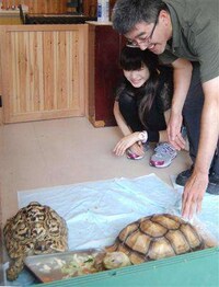 Reptile Cafes Image 4