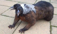 Disturbing Hybrid Taxidermy Image 3