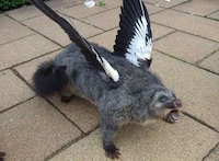 Disturbing Hybrid Taxidermy Image 4
