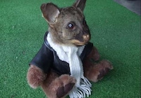Disturbing Hybrid Taxidermy Image 5