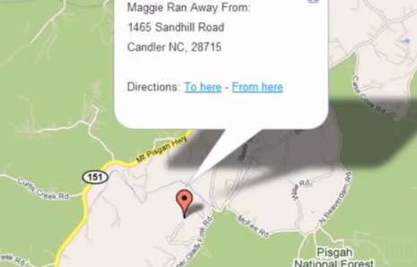 Canine Tag Trackers