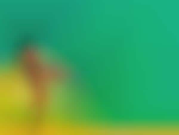 Tropical-Colored Captures