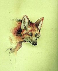 Tribal Teen Female Depictions Image 8