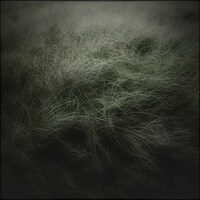 Organic Field Photography Image 4