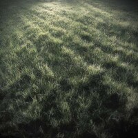 Organic Field Photography Image 8