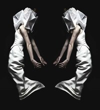 Paper-Pleated Photography Image 6