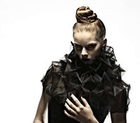 Paper-Pleated Photography Image 8