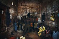 Stony Prison Shoots