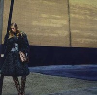 Laid-Back Leopard Editorials Image 6