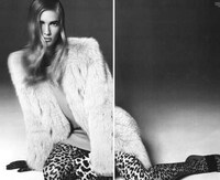 Laid-Back Leopard Editorials Image 7