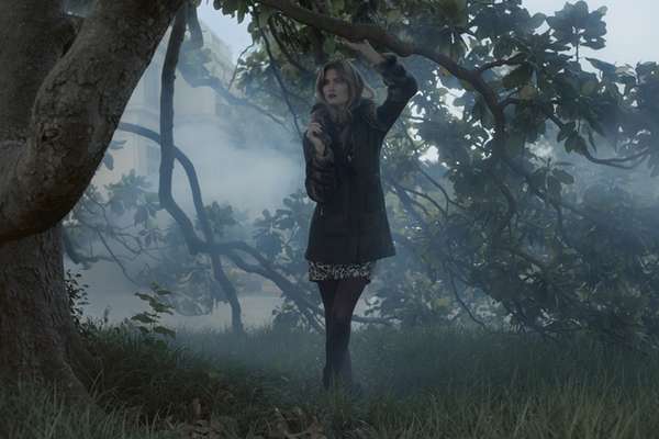 Mystical Meadow Photography