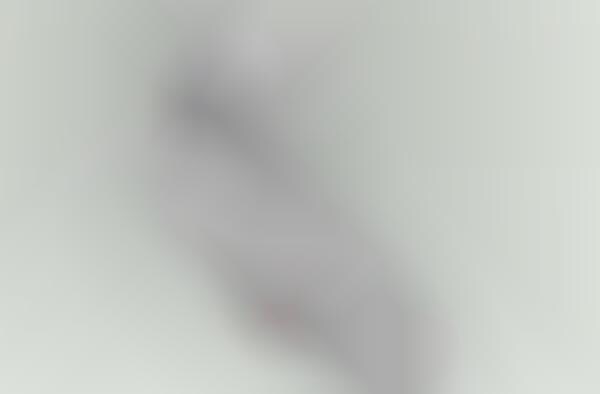 Blank Canvas Kicks