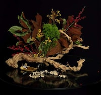 Wilting Woodland Photography Image 8