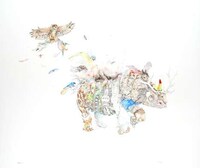 Harmonious Wildlife Wonders Image 6