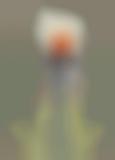 Faceless Futuristic Fashion